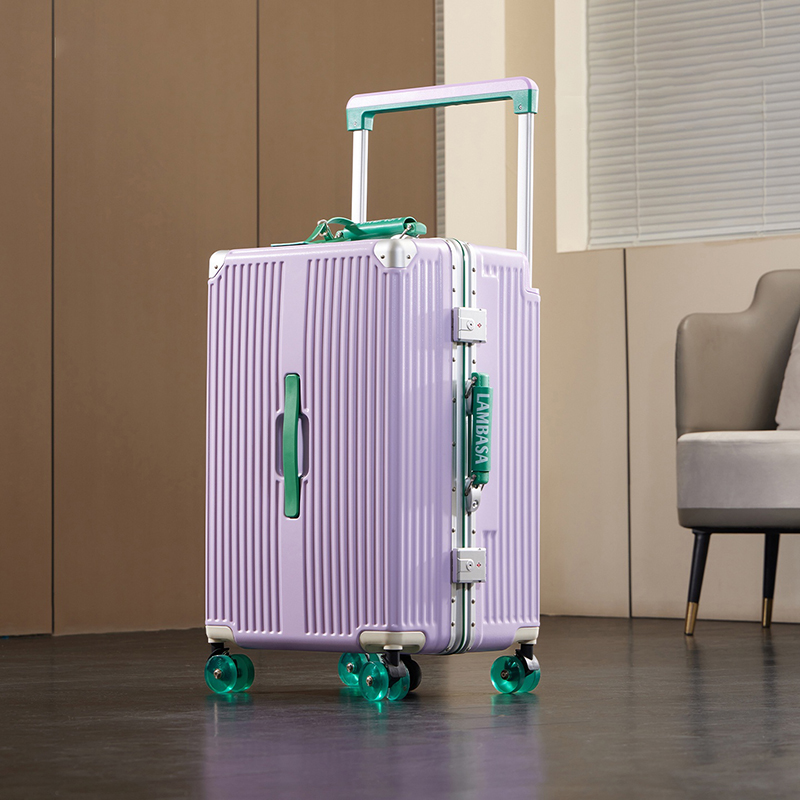 Reiskoffer met brede handgreep - Spinner Wheel Rolling Suitcase 20 Inch recensie en prijs
